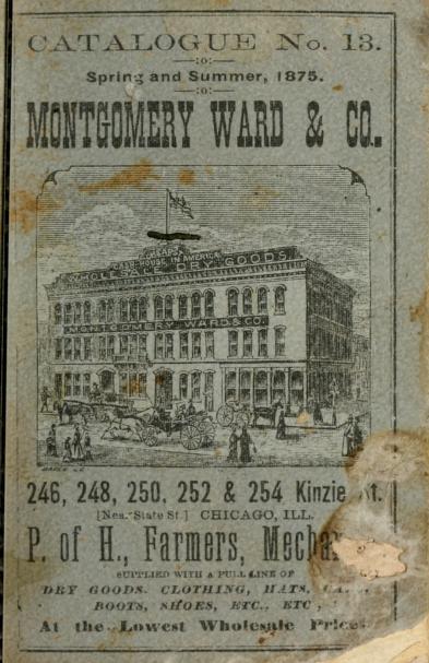 Catalogue no. 13, spring and summer, 1875 : Montgomery Ward : Free 